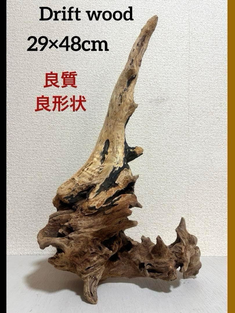 G15 自然流木 灰汁抜き処理済み 爬虫類シェルターアクアテラリウム